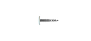 Fassadenschraube-SHR-FASA-M.BIT-HPL-A0500-A2-TX20-4,8X38 Verpackungsinhalt 100 Einheit