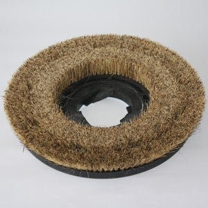 Reinigungsmaschinen -Polierbürste, Mexican-Fiber, 1 St.