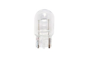 A compact 12V lamp with a clear glass bulb and a base designed for easy installation.