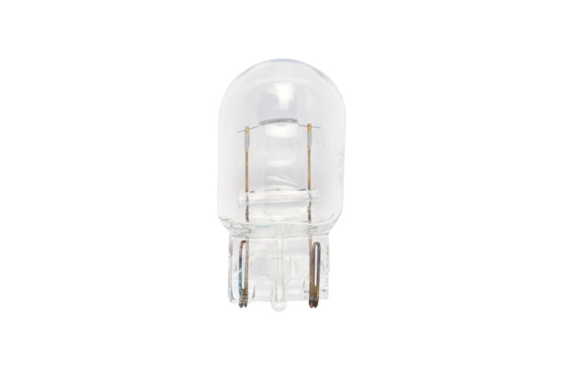 A compact 12V lamp with a clear glass bulb and a base designed for easy installation.