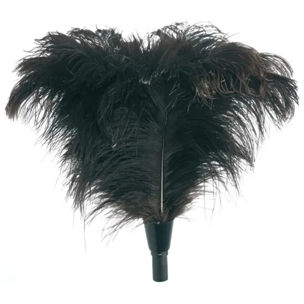 Schwarzer Staubwedel aus weichen Straußenfedern mit langem Stiel