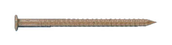STI-COL-EICHE-HELL-1,75X25