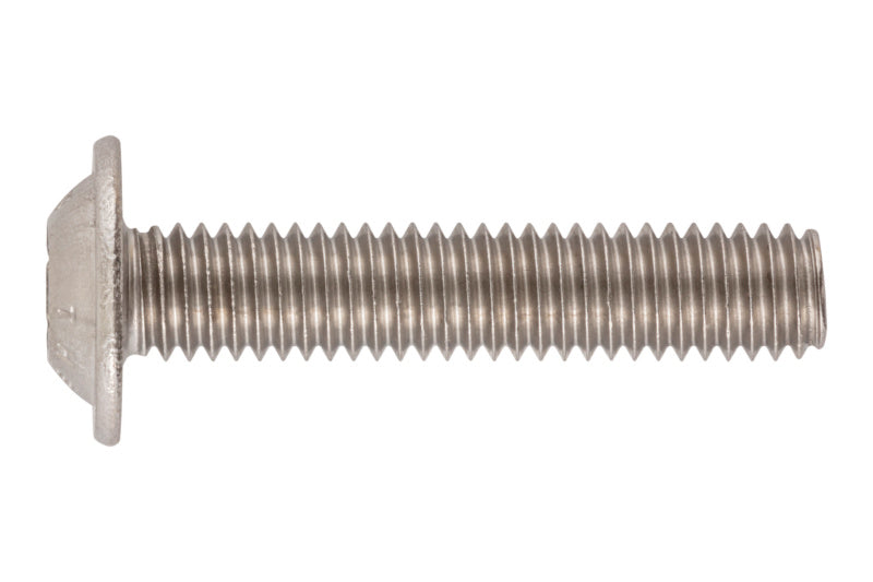 Schraube abgeflachter Halbrdkpf und Bund-SHR-DIN34805/2-A2/070-TX10-M3X8     Verpackungsinhalt    200 Einheit