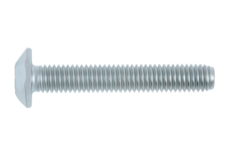 Sicherheitsschraube Flachrundkopf SHR-FLRDKPF-AW40-(A2K)-M8X50 -->VP  25 Einheit