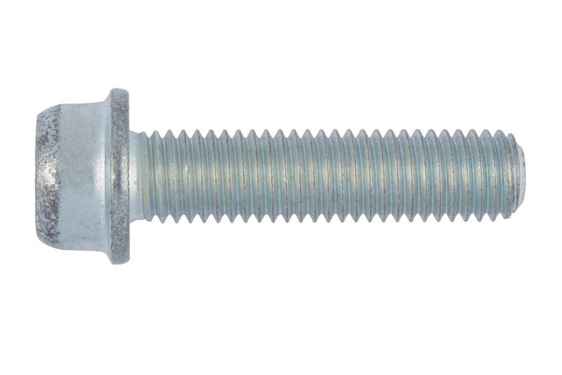 Rippschraube-SHR-RIPP-ZYL-W251.12-KL100-(A2K)-M6X25     Verpackungsinhalt    250 Einheit