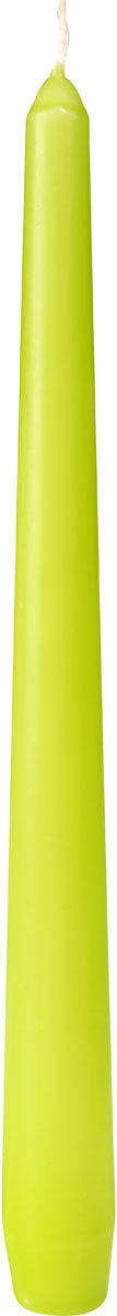 Eine lange, spitz zulaufende Kerze in Kiwi-Grün mit einem weißen Docht.