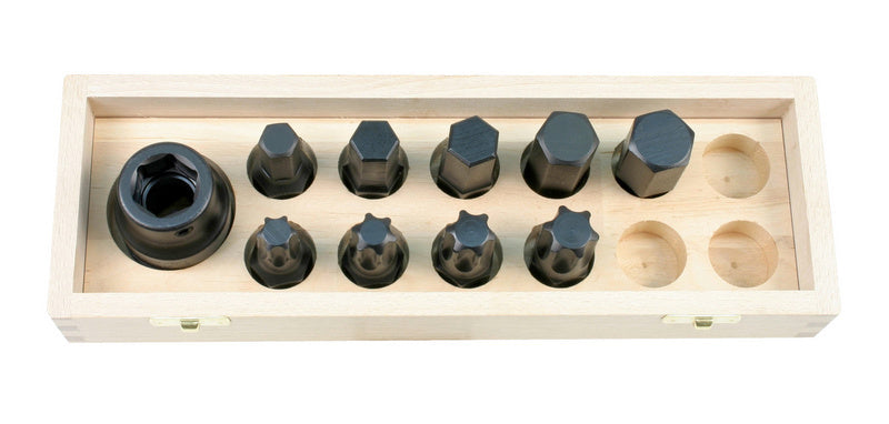 Set of 10 hexagonal socket bits in a sturdy storage case.