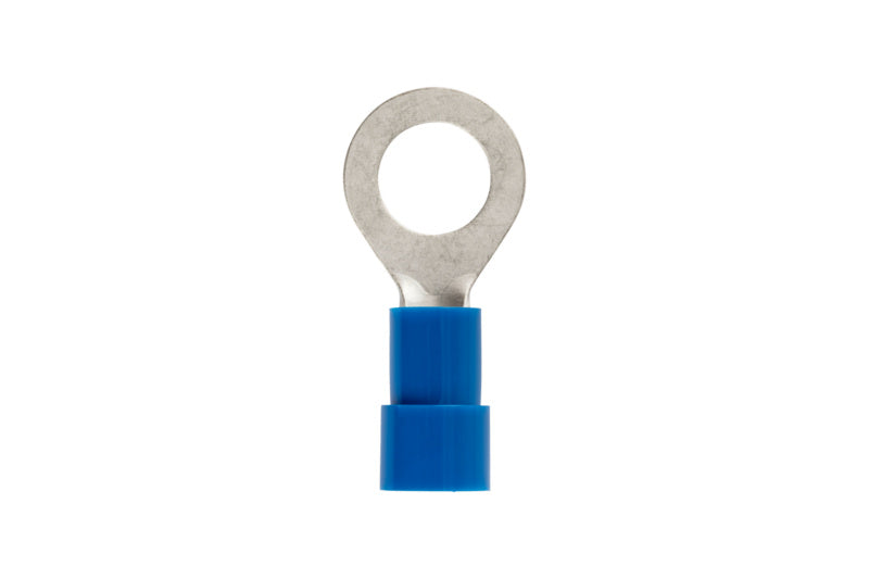 50 Kupfer-Crimpklemmen mit M12-Anschluss und 16 mm Durchmesser in Verpackung