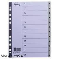 LYRECO REGISTER 1-12 PP A4 GRAU - Marktplatz24