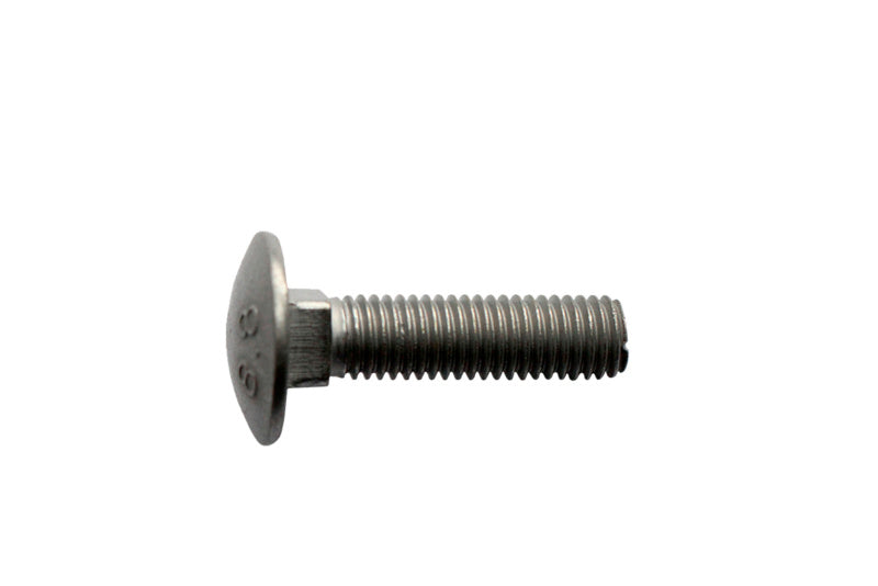 Flachrundschraube mit Vierkantansatz-SHR-FLRDKPF-DIN603-8.8-(ZNSHR)-M8X55     Verpackungsinhalt    200 Einheit