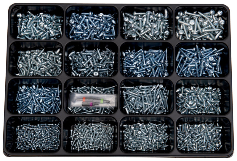 Sortiment mit 1603 rostfreien Blechschrauben in verschiedenen Größen in robuster Aufbewahrungsbox.