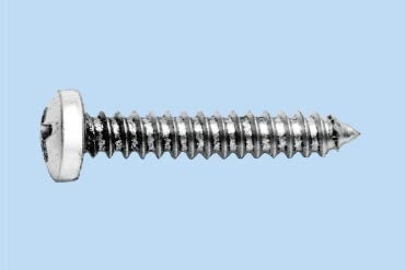 Blechschraube mit Linsenkopf, Durchmesser 4,2 mm und Länge 22 mm aus A4 Edelstahl.