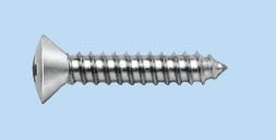 Blechschraube Linsensenkkopf-SHR-LISEKPF-DIN7983-C-Z2-A2-4,8X38     Verpackungsinhalt    200 Einheit