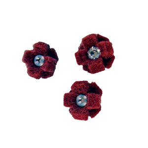 Set of polishing brushes with various sizes and bristle types for different surfaces.