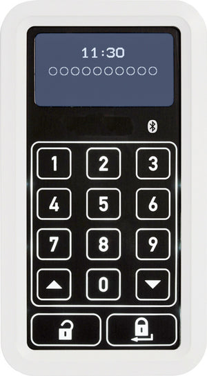 Türschlossantrieb-Zubehör TSTTR-FNK-F.TRSHLOANTR-CFT3100-WEI in weiß mit robustem Design.