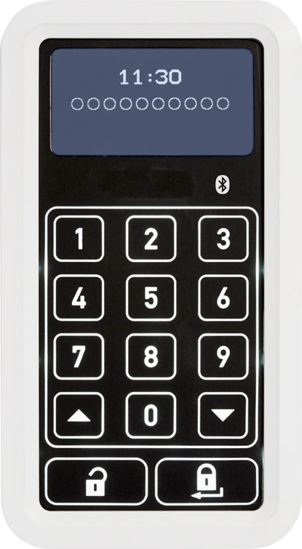 Türschlossantrieb-Zubehör TSTTR-FNK-F.TRSHLOANTR-CFT3100-WEI in weiß mit robustem Design.