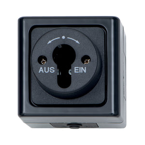 Anthrazitfarbene Schalt-Außensteckdose 10A 250V mit Klappdeckel und IP44-Schutz für Wandmontage.