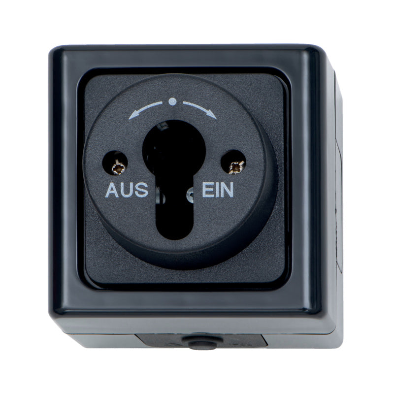 Anthrazitfarbene Schalt-Außensteckdose 10A 250V mit Klappdeckel und IP44-Schutz für Wandmontage.