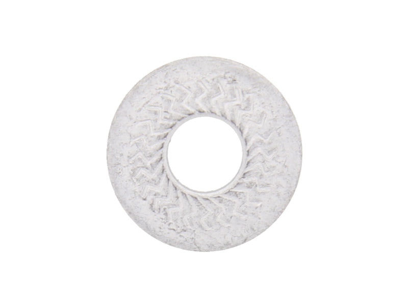 Sperrkantscheibe-SHB-SPEKT-B-(FLZN480H)-D10,2     Verpackungsinhalt    200 Einheit