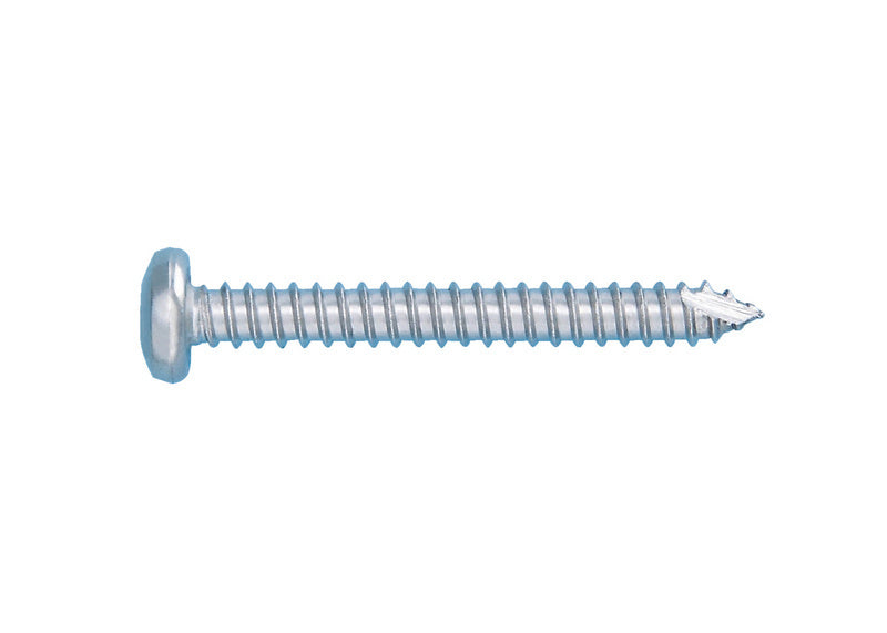 Blechschraube Linsenkopf-SHR-LIKPF-GLEIT-C-AW25-A4-5,5X65     Verpackungsinhalt    100 Einheit