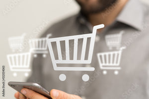 vogt Staubsauger S10 Plus mit 850 W, 230 V, Multifunktionsgriff und 10 m Netzkabel in Grau