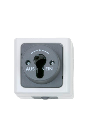 Grauer Schalter mit 10A und 250V für elektrische Installationen, robust und benutzerfreundlich.