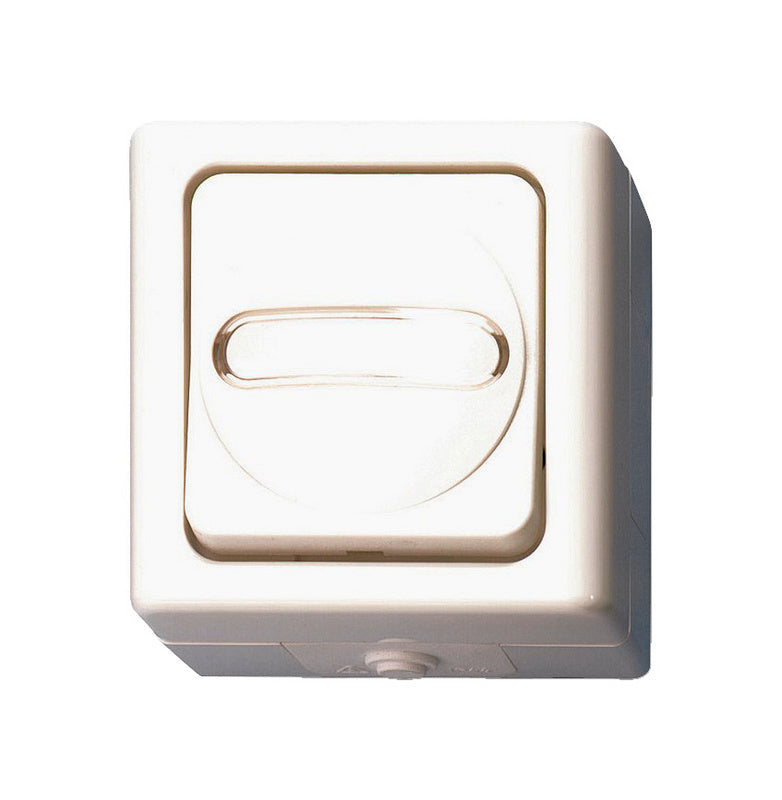 Weißer Aufputz-Tast-Wechselschalter mit 10A 250V, zwei Einheiten, schlichtes Design.