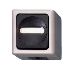 Grauer Wechsel-Schalter mit glatter Oberfläche für elektrische Installationen, 10A, 250V.