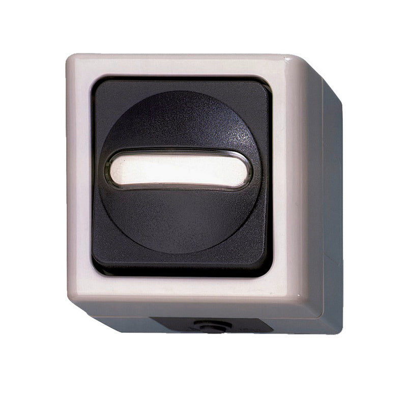 Grauer Wechsel-Schalter mit glatter Oberfläche für elektrische Installationen, 10A, 250V.