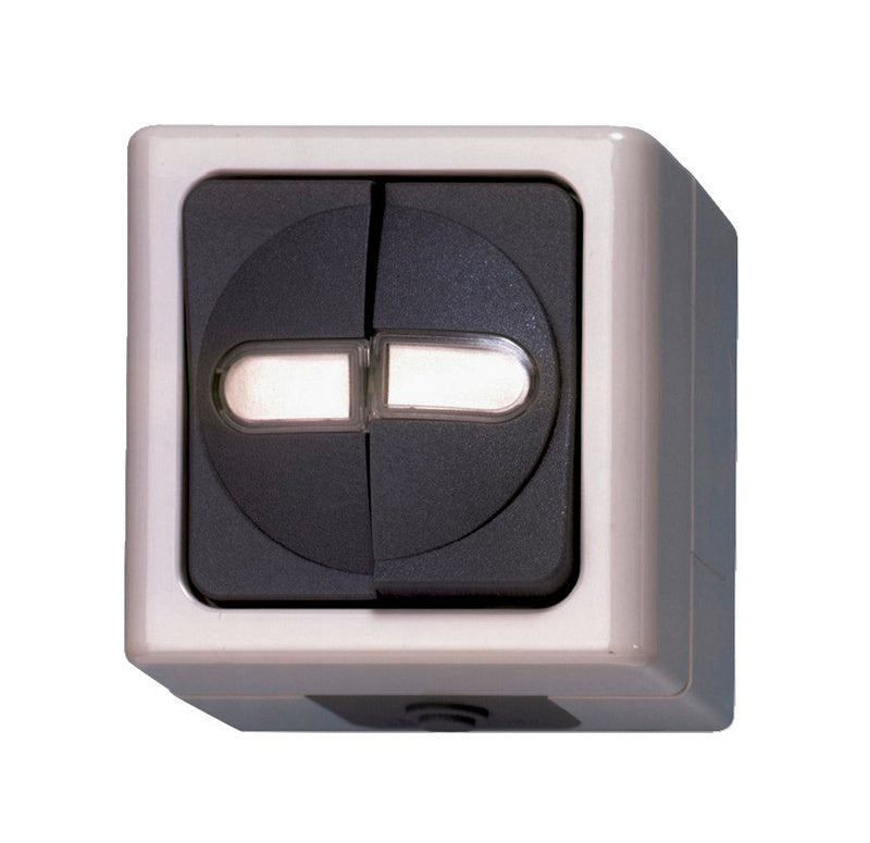 Grau elektrischer Schalter der SCHALT-AP-SERIE mit zwei Einheiten, 10A und 250V.