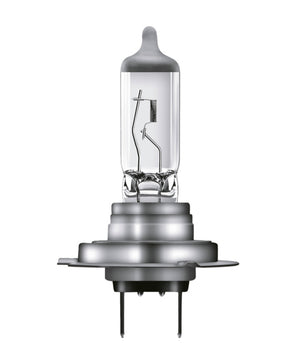 Halogenlampe Kfz LAMP - Marktplatz24