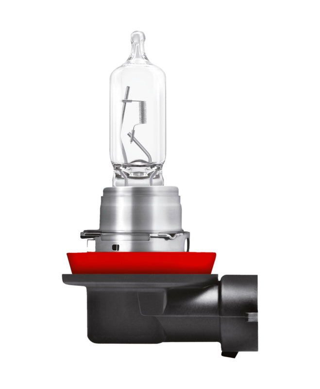 Halogenlampe Kfz LAMP - Marktplatz24