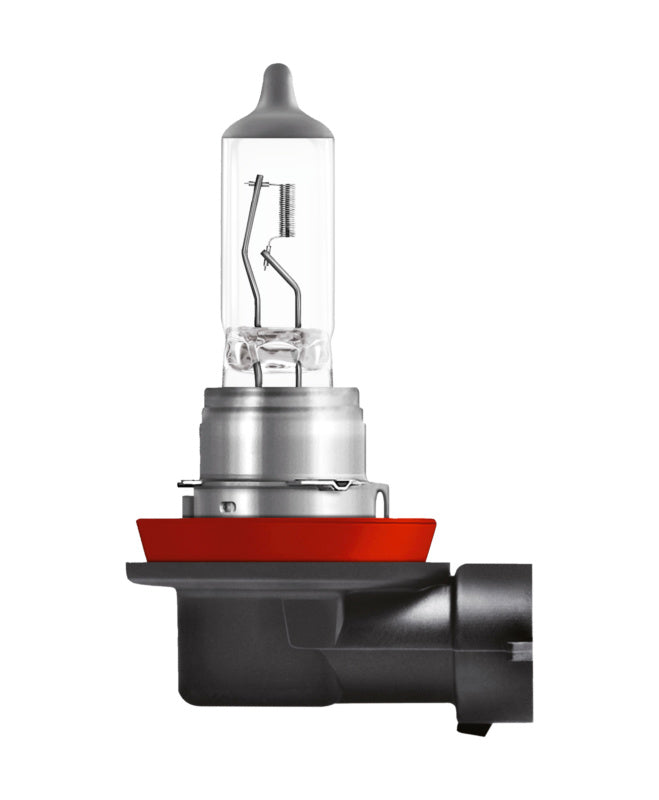 A pack of ten 24V 70W H11 PGJ19-2 lamps with a clear glass bulb design.