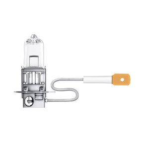 A pack of ten 24V 70W long-life HD lamps with a PK22S base.