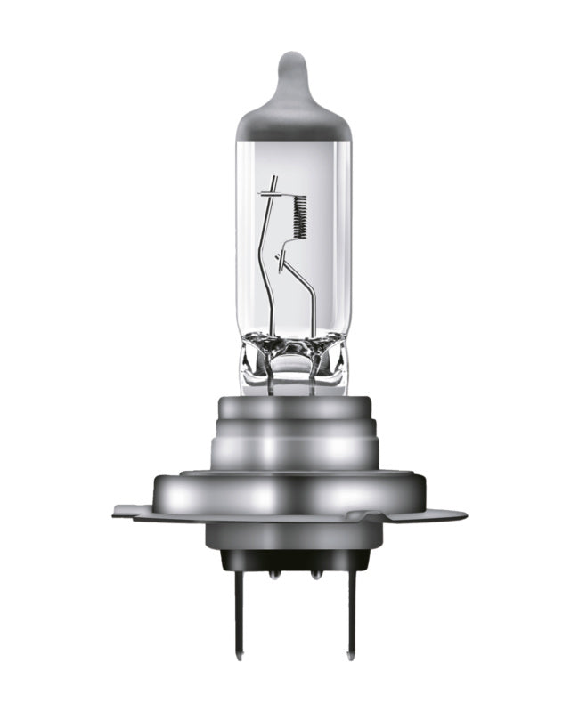 Halogenlampe Kfz LAMP - Marktplatz24