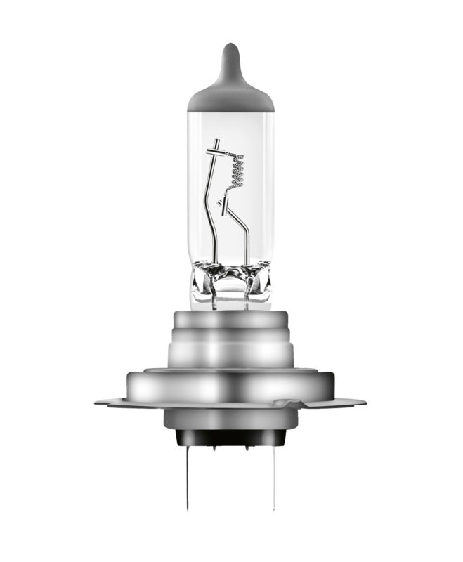 Halogenlampe Nfz LAMP - Marktplatz24