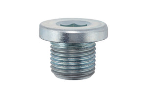 Zehn Einheiten M14x1,25mm Schrauben für Citroen und Peugeot Fahrzeuge.