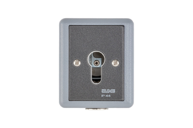 Schlüsselschalter für Drehflügeltürantrieb mit IP44 Schutz, robust und einfach zu bedienen.