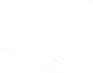 Selbstklebendes Klettband in Schwarz, ideal für vielseitige Befestigungsanwendungen.