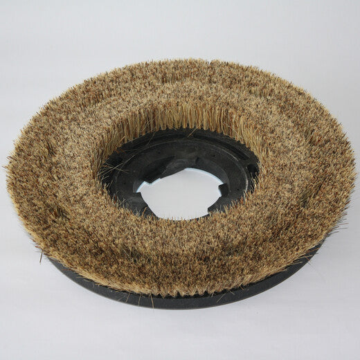 Reinigungsmaschinen -Polierbürste, Mexican-Fiber, 1 St.