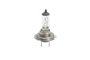Silver capped H7 12V 55W lamp bulbs, pack of 10 units displayed in a group.