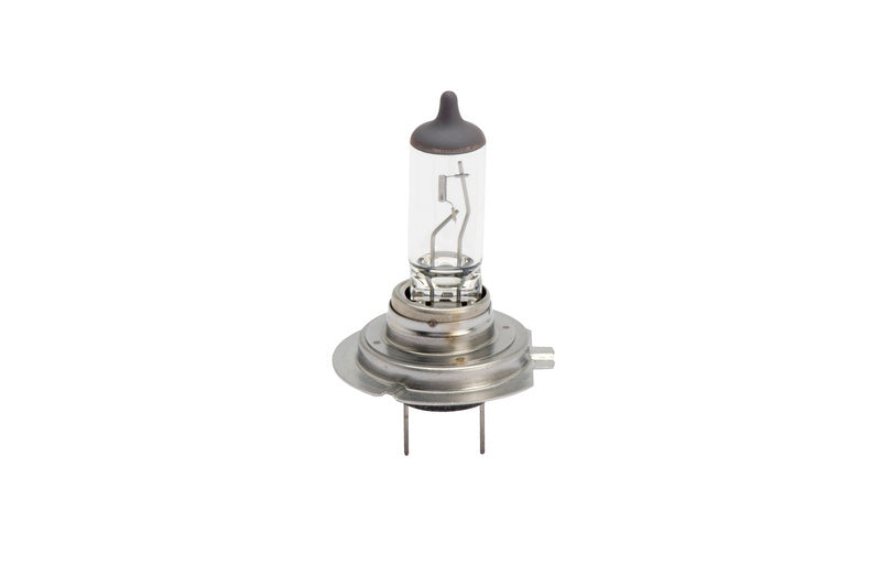 Silver capped H7 12V 55W lamp bulbs, pack of 10 units displayed in a group.