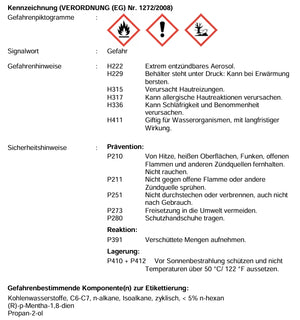 Reiniger Industrie CLEAN