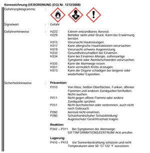 Fugenschaum B1 1K Pistolenschaum 750 ml