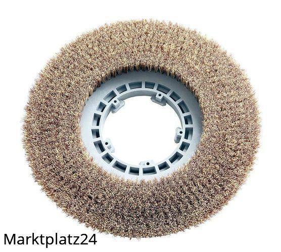 Schrubbürste 5 K, Ã˜430mm, 1 St. - Marktplatz24