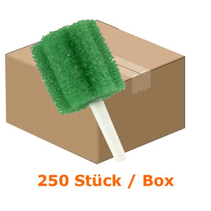 Grüne Mundpflegestäbchen auf einem Karton mit der Aufschrift 250 Stück / Box.